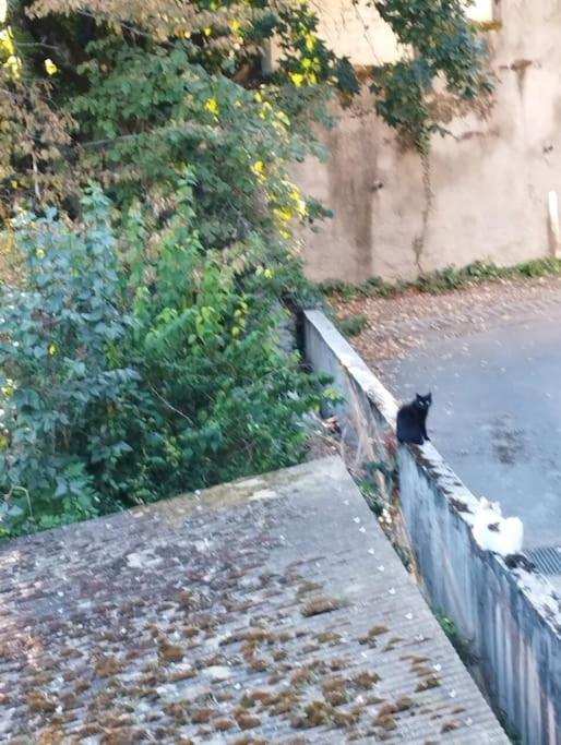 Appartamento Le Grand Montjoux Besançon Esterno foto